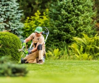 Landscaping